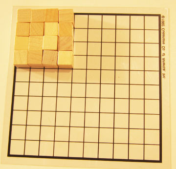 square root of 16 fun with picture grids